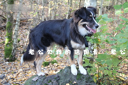老公欠我的信用卡錢(老公欠我的信用卡錢)
