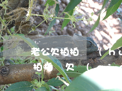 老公欠拍拍貸 會(huì)影響老婆嗎(如果拍拍貸欠錢(qián)不還的話會(huì)有什么后果)