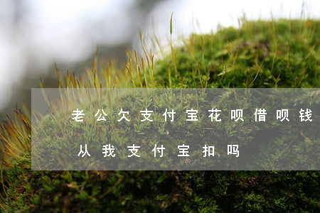 老公欠支付宝花呗借呗钱(老公的借呗不还,会从我支付宝扣吗)