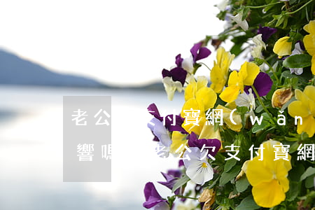 老公欠支付寶網(wǎng)商貸老婆有影響嗎-老公欠支付寶網(wǎng)商貸老婆有影響嗎知乎
