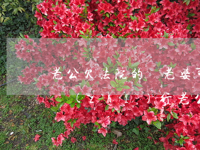 老公欠法院的錢老婆可以買房嗎(老婆欠錢會執(zhí)行老公的房子嗎)
