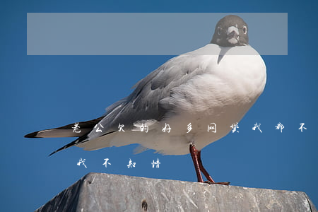 老公欠的好多网贷我都不知情(老公欠了网贷,我不知情)