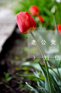 老公欠的網(wǎng)貸為什么發(fā)短信給老婆-老公網(wǎng)貸欠錢(qián),我用負(fù)擔(dān)一半嗎