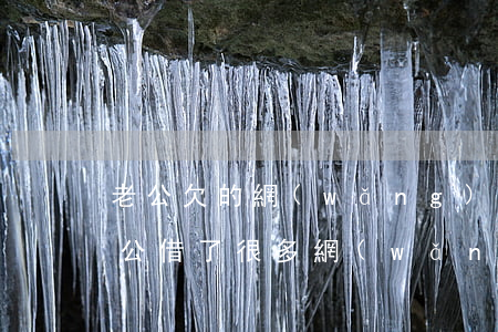 老公欠的網(wǎng)貸還不上怎么辦(老公借了很多網(wǎng)貸還不了怎么辦)