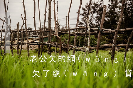 老公欠的網(wǎng)貸還不起(老公賭博欠了網(wǎng)貸還不起怎么辦)