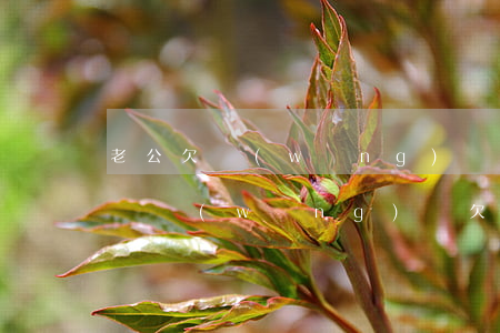 老公欠網(wǎng)貸三十多萬房子能賣嗎(網(wǎng)貸欠十幾萬可以貸款買房嗎)