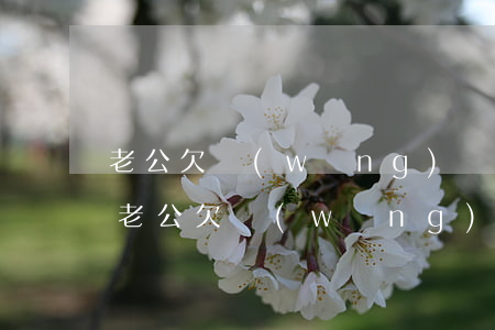 老公欠網(wǎng)貸不承認(rèn)(老公欠網(wǎng)貸應(yīng)該告訴公婆嗎)