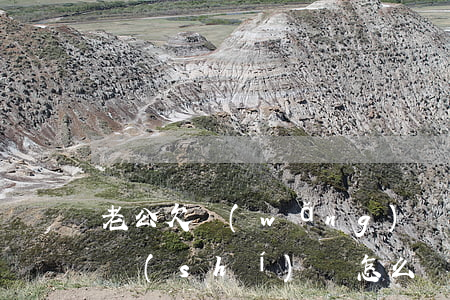 老公欠網(wǎng)貸不說(shuō)實(shí)話(怎么開(kāi)口和老公說(shuō)欠網(wǎng)貸)