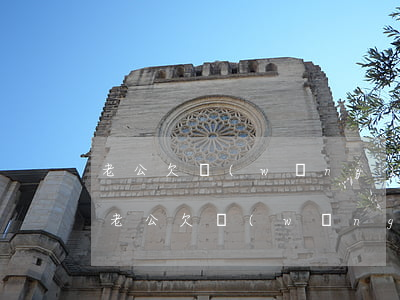 老公欠網(wǎng)貸不還妻子也得還罵(老公欠網(wǎng)貸不還,對(duì)老婆有什么影響)