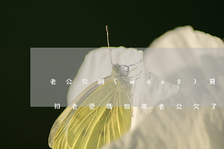 老公欠網(wǎng)貸不還會(huì)扣老婆嗎(如果老公欠了網(wǎng)貸會(huì)不會(huì)連累老婆)
