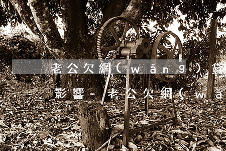 老公欠網(wǎng)貸不還款老婆有什么影響-老公欠網(wǎng)貸不還款老婆有什么影響嗎