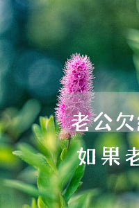 老公欠網(wǎng)貸不還 老婆有影響嘛(如果老公欠了網(wǎng)貸會(huì)不會(huì)連累老婆)