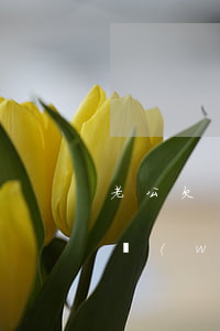 老公欠網(wǎng)貸不還離婚(老公欠的網(wǎng)貸離婚了我不用承擔(dān)了吧)