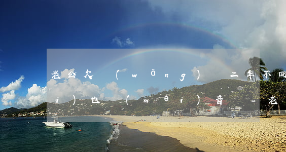 老公欠網(wǎng)貸二年不回來(lái)也沒(méi)音訊-老公欠網(wǎng)貸二年不回來(lái)也沒(méi)音訊怎么辦