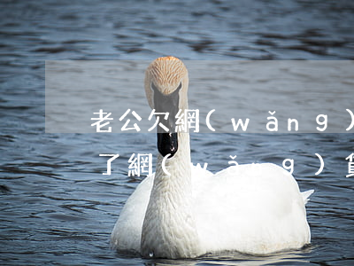 老公欠網(wǎng)貸他哥不幫忙(老公欠了網(wǎng)貸打電話給我了)