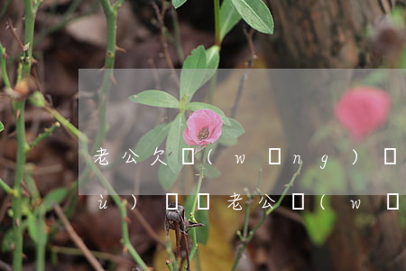 老公欠網(wǎng)貸債老婆有義務(wù)還嗎(老公網(wǎng)貸欠款老婆要一起還嗎)