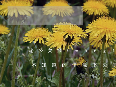 老公欠網(wǎng)貸咋辦(老公欠在老婆不知道的情況下欠了各種網(wǎng)貸,我該怎么辦)