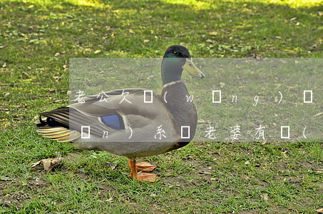 老公欠網(wǎng)貸和老婆有關(guān)系嗎(老婆有網(wǎng)貸沒還清,影響老公貸款嗎)