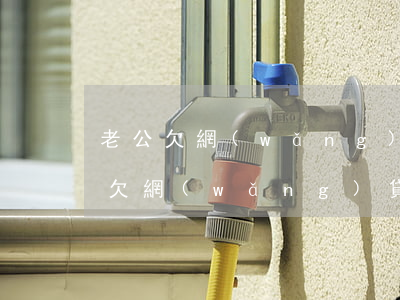老公欠網(wǎng)貸多久會被上訴(老公欠網(wǎng)貸多久會被上訴)