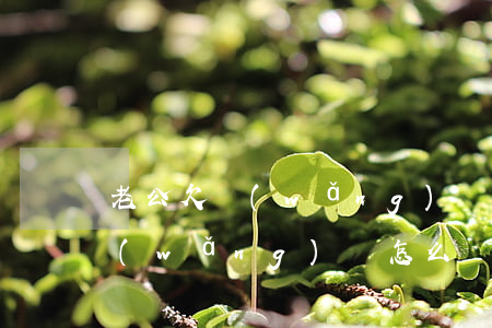 老公欠網(wǎng)貸如何處理(老公欠網(wǎng)貸怎么辦)
