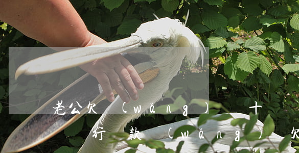 老公欠網(wǎng)貸幾十萬還不起怎么辦(銀行貸款網(wǎng)貸欠幾十萬還不起怎么辦)