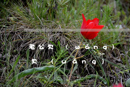 老公欠網(wǎng)貸幾萬塊還不上(老公欠網(wǎng)貸幾萬塊還不上)