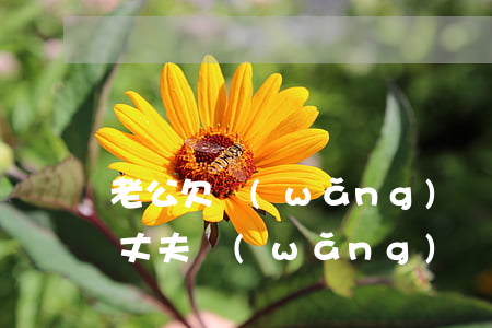 老公欠網(wǎng)貸幾萬會扣老婆卡嗎(丈夫網(wǎng)貸會扣老婆賬戶錢嗎)