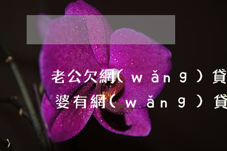 老公欠網(wǎng)貸影響老婆貸款嗎(老婆有網(wǎng)貸影響老公貸款嗎)