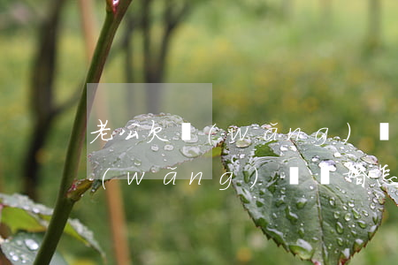 老公欠網(wǎng)貸怎么開支 老公欠網(wǎng)貸離婚怎么處理