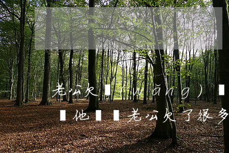 老公欠網(wǎng)貸應(yīng)該幫他還嗎(老公欠了很多網(wǎng)貸要幫他還還是離婚)