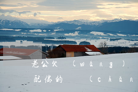 老公欠網(wǎng)貸會凍結(jié)配偶的資產(chǎn)嗎(欠網(wǎng)貸會凍結(jié)夫妻財產(chǎn)嗎)