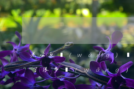 老公欠網(wǎng)貸死后要家人還嗎(欠了很多網(wǎng)貸人死了還要家人還嗎?)
