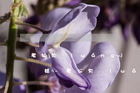 老公欠網(wǎng)貸為什么老婆還不愿離婚-老公欠網(wǎng)貸為什么老婆還不愿離婚呢