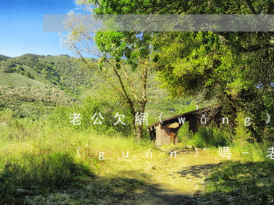 老公欠網(wǎng)貸無法還和妻子有關(guān)嗎-老公欠網(wǎng)貸無法還和妻子有關(guān)嗎怎么辦
