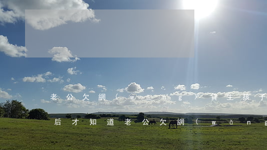 老公欠網(wǎng)貸生孩子結婚(結婚以后才知道老公欠網(wǎng)貸)