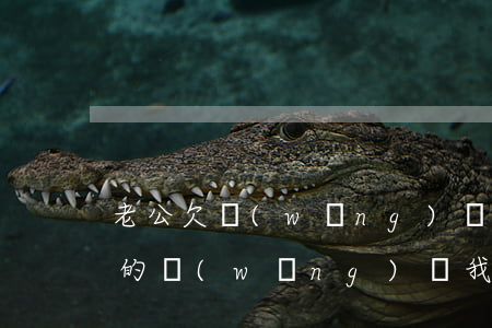 老公欠網(wǎng)貸生活沒保障(老婆欠的網(wǎng)貸我該怎么辦)