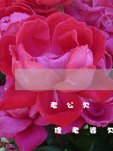 老公欠網(wǎng)貸老婆不知情怎么處理(老婆欠了網(wǎng)貸該怎么辦)