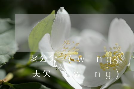 老公欠網(wǎng)貸 老婆懷孕打胎了(丈夫欠網(wǎng)貸)