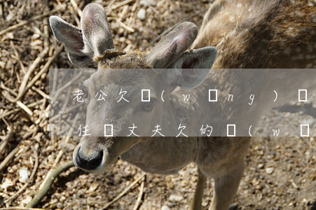 老公欠網(wǎng)貸老婆有責(zé)任嗎(丈夫欠的網(wǎng)貸妻子也要幫他承擔(dān)嗎)