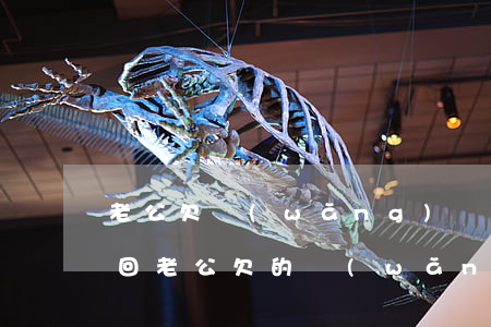 老公欠網(wǎng)貸老婆要離婚怎么挽回(老公欠的網(wǎng)貸離婚了我不用承擔(dān)了吧)