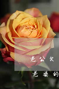 老公欠網(wǎng)貸能凍結(jié)老婆的卡嗎(如果老公欠網(wǎng)貸會(huì)從老婆卡里扣嗎)