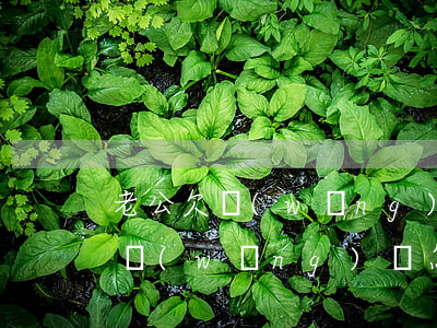 老公欠網(wǎng)貸能夠原諒嗎(老公欠網(wǎng)貸怎么辦)