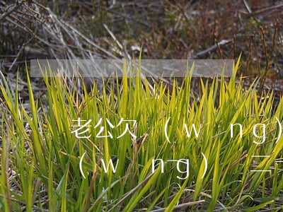 老公欠網(wǎng)貸萬(wàn)(欠網(wǎng)貸二十萬(wàn)不想連累老公)