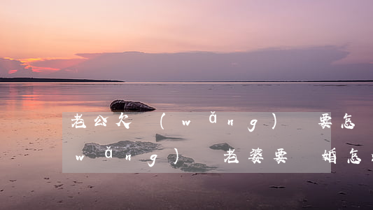 老公欠網(wǎng)貸要怎樣離婚(欠網(wǎng)貸老婆要離婚怎么辦)