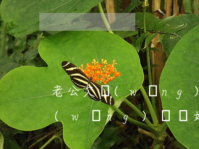 老公欠網(wǎng)貸該怎么辦(老公欠網(wǎng)貸離婚怎么處理)