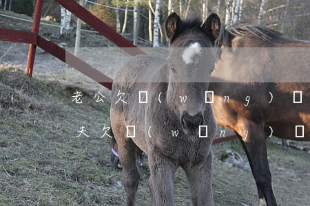 老公欠網(wǎng)貸跑了我需要還嗎(丈夫欠網(wǎng)貸)