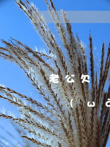 老公欠網(wǎng)貸跑了要怎么離婚(欠網(wǎng)貸老婆要離婚怎么辦)