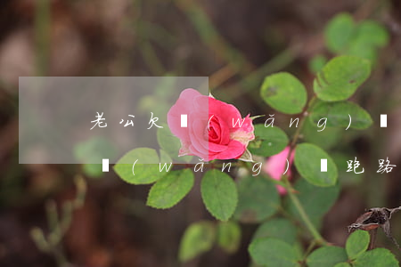老公欠網(wǎng)貸跑路怎么辦(老公欠網(wǎng)貸跑路怎么辦)