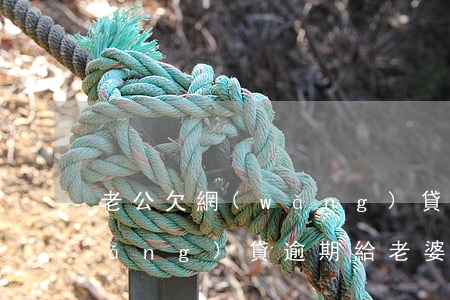 老公欠網(wǎng)貸逾期(老公欠網(wǎng)貸逾期給老婆發(fā)短信人肉老婆工作單位)