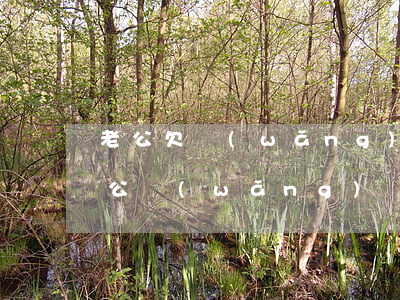 老公欠網(wǎng)貸逾期能申請房貸(老公網(wǎng)貸逾期會影響我)